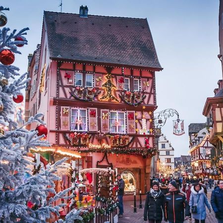 Le Rosacker - Proche Centre Ville Et Gare - Terrasse - Parking Gratuit 2 Places - 2 Chambres - 2 Salles De Bain - Netflix Colmar Luaran gambar