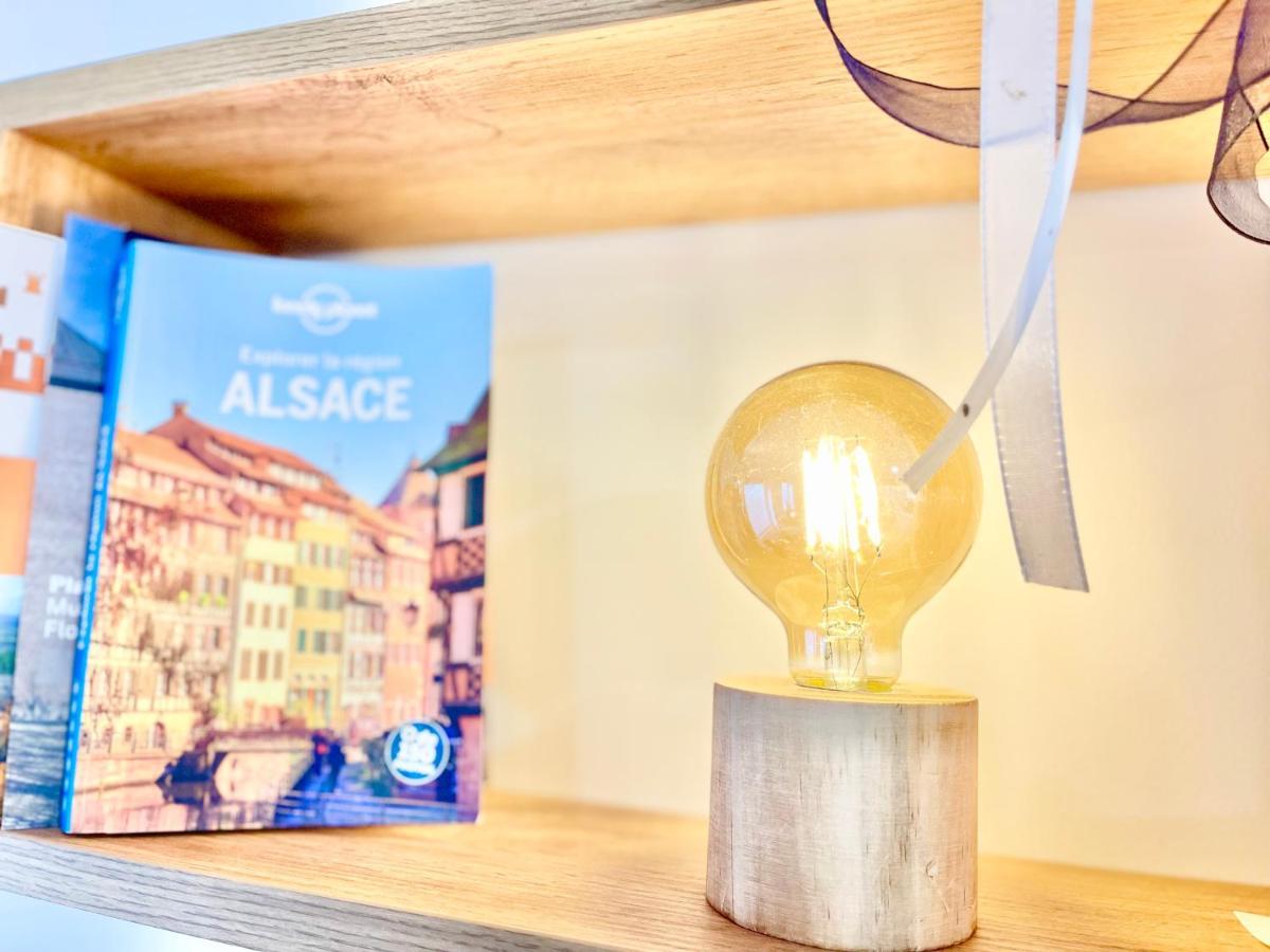 Le Rosacker - Proche Centre Ville Et Gare - Terrasse - Parking Gratuit 2 Places - 2 Chambres - 2 Salles De Bain - Netflix Colmar Luaran gambar