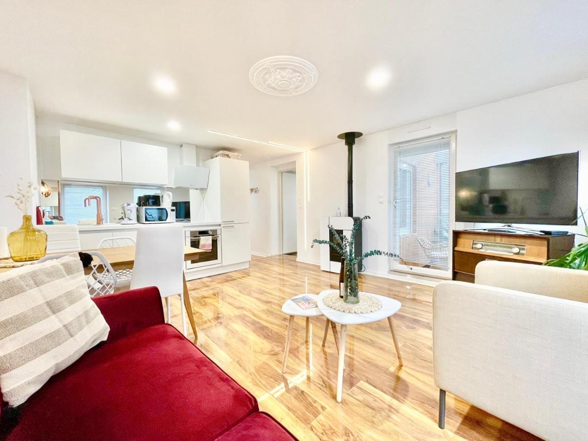 Le Rosacker - Proche Centre Ville Et Gare - Terrasse - Parking Gratuit 2 Places - 2 Chambres - 2 Salles De Bain - Netflix Colmar Luaran gambar